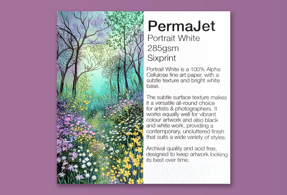 Giclée print on PermaJet Portrait White 285gsm archival paper