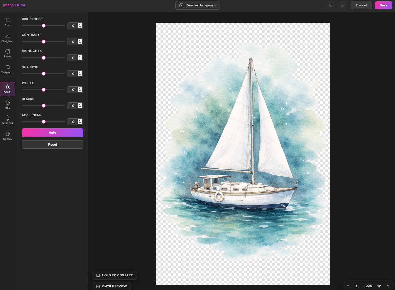 Image adjustment options including Auto to brighten levels