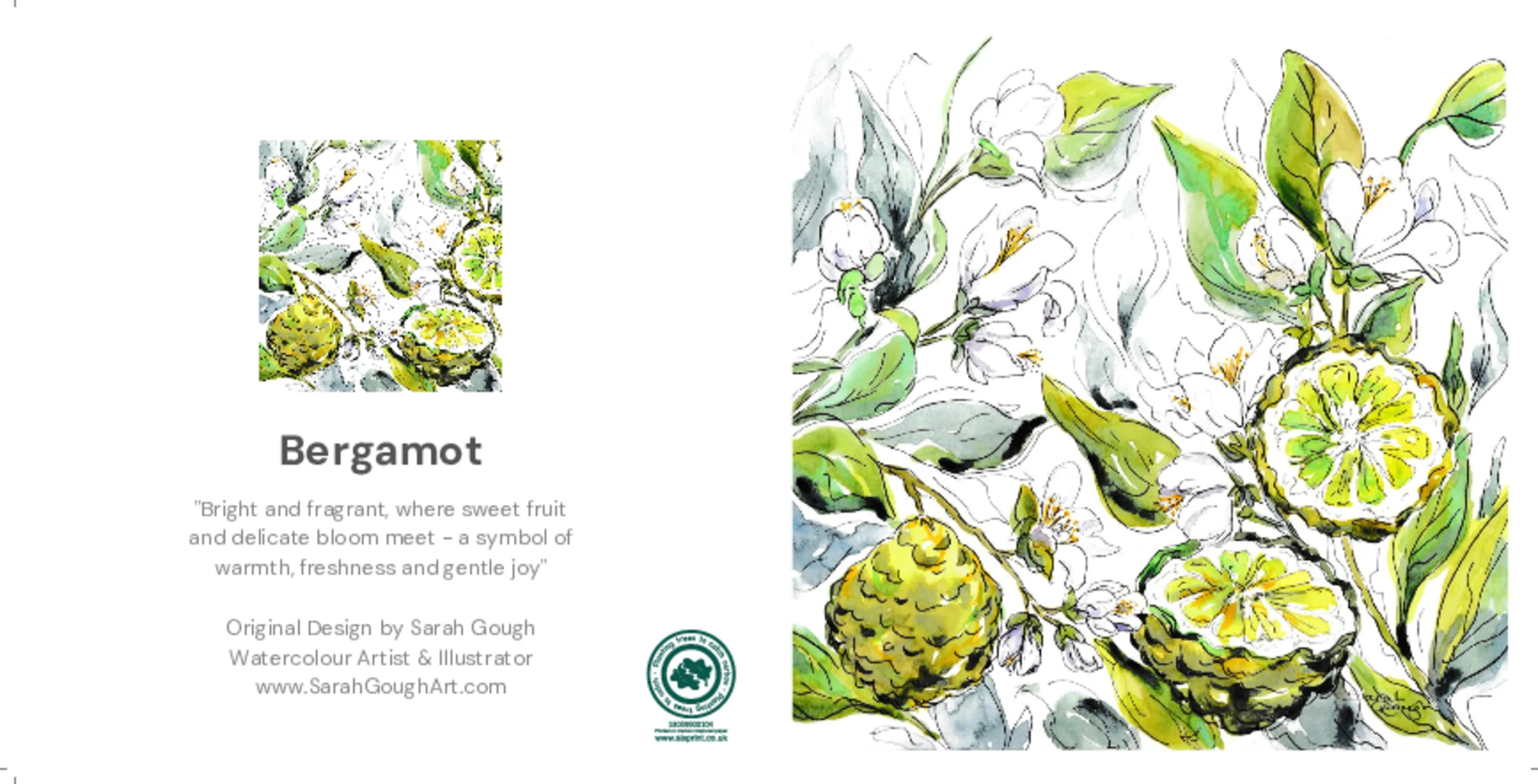 Bergamot