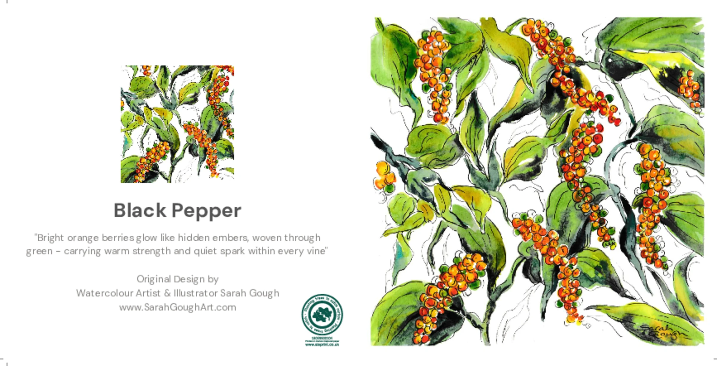 Black Pepper
