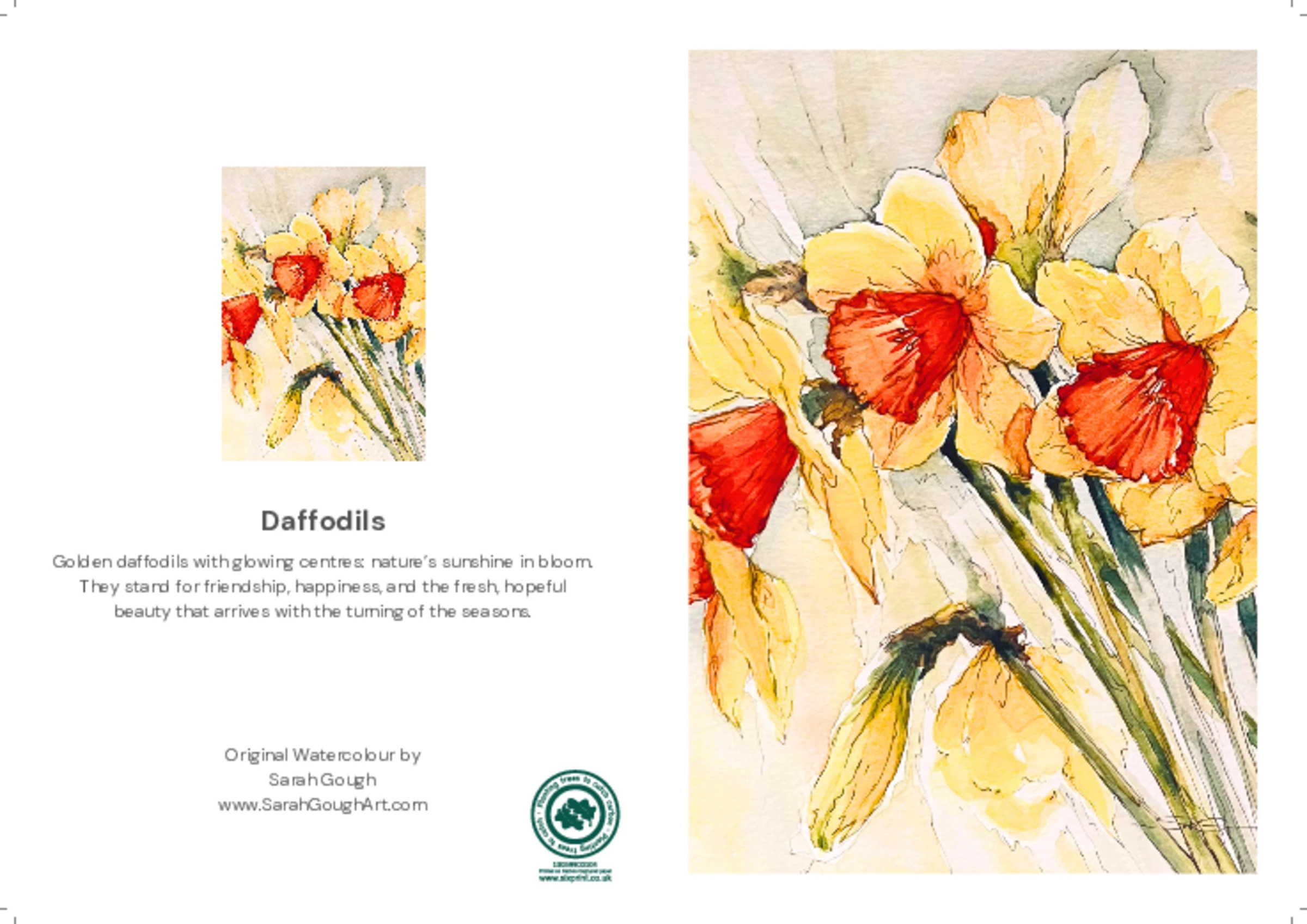 Daffodils
