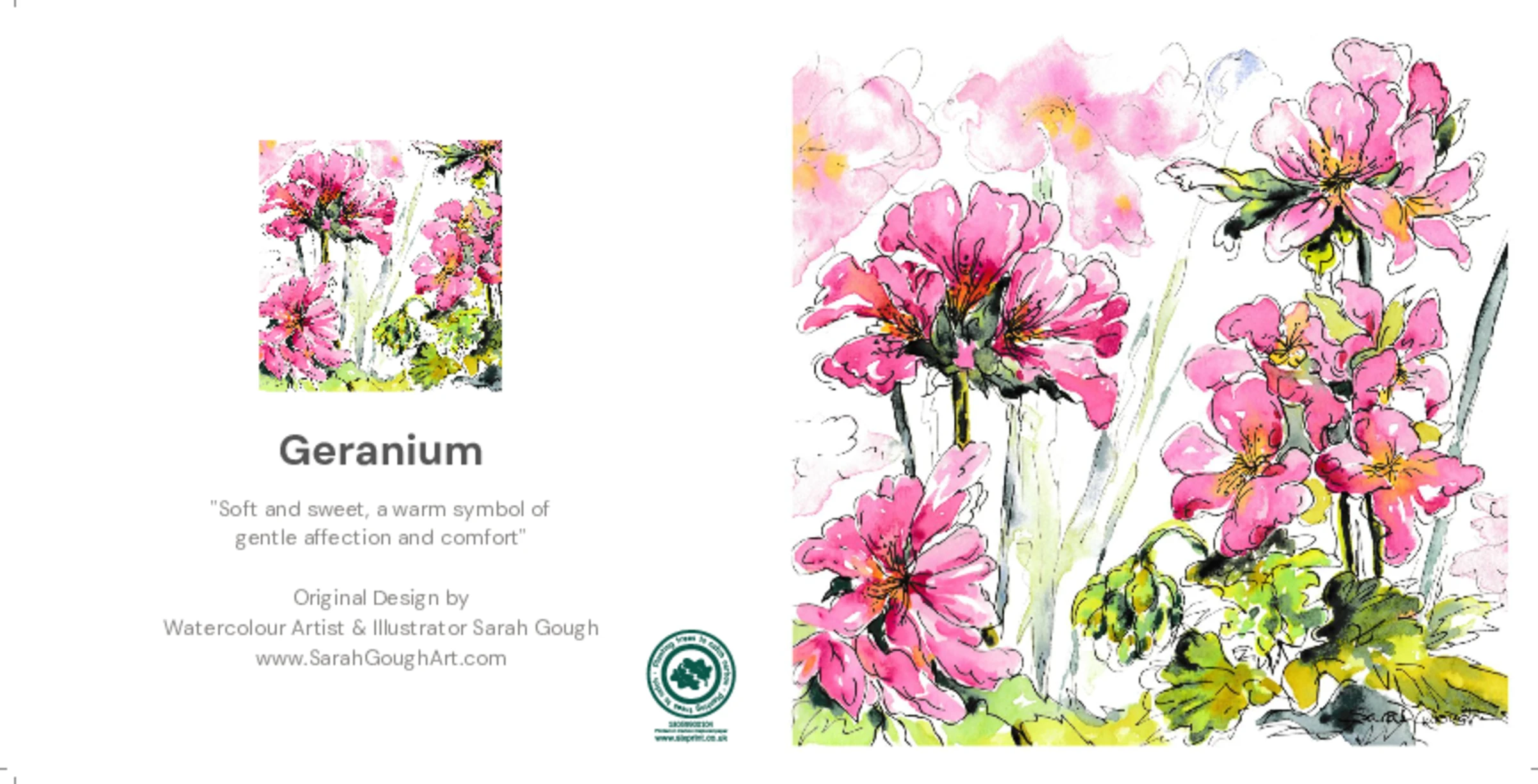 Geranium