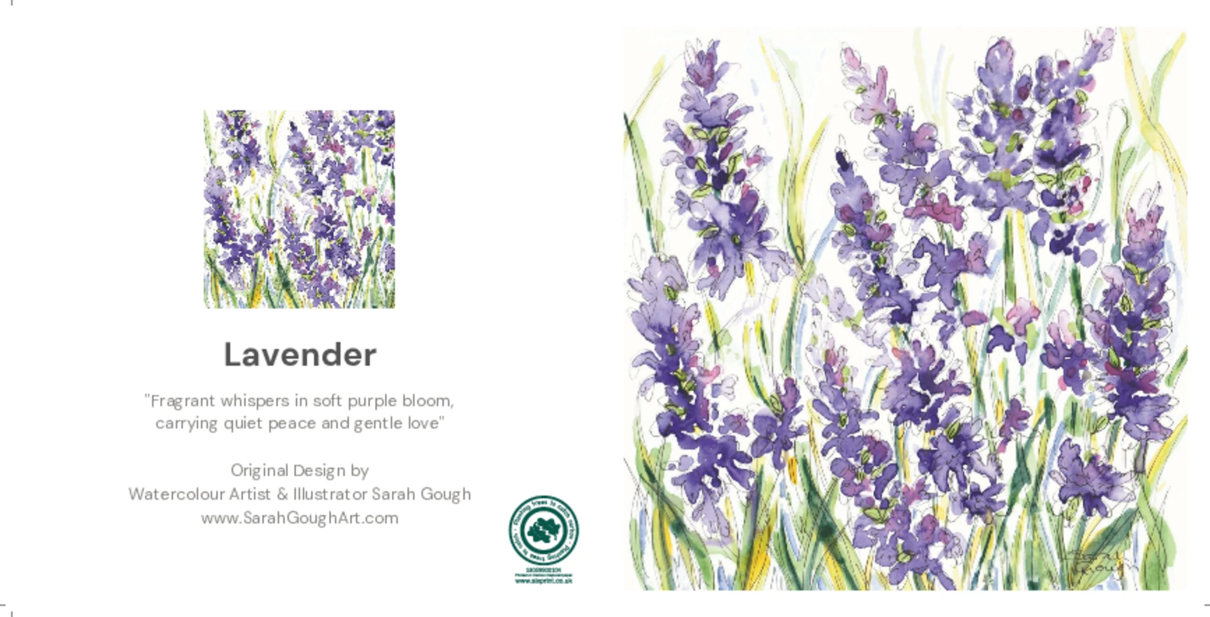 Lavender