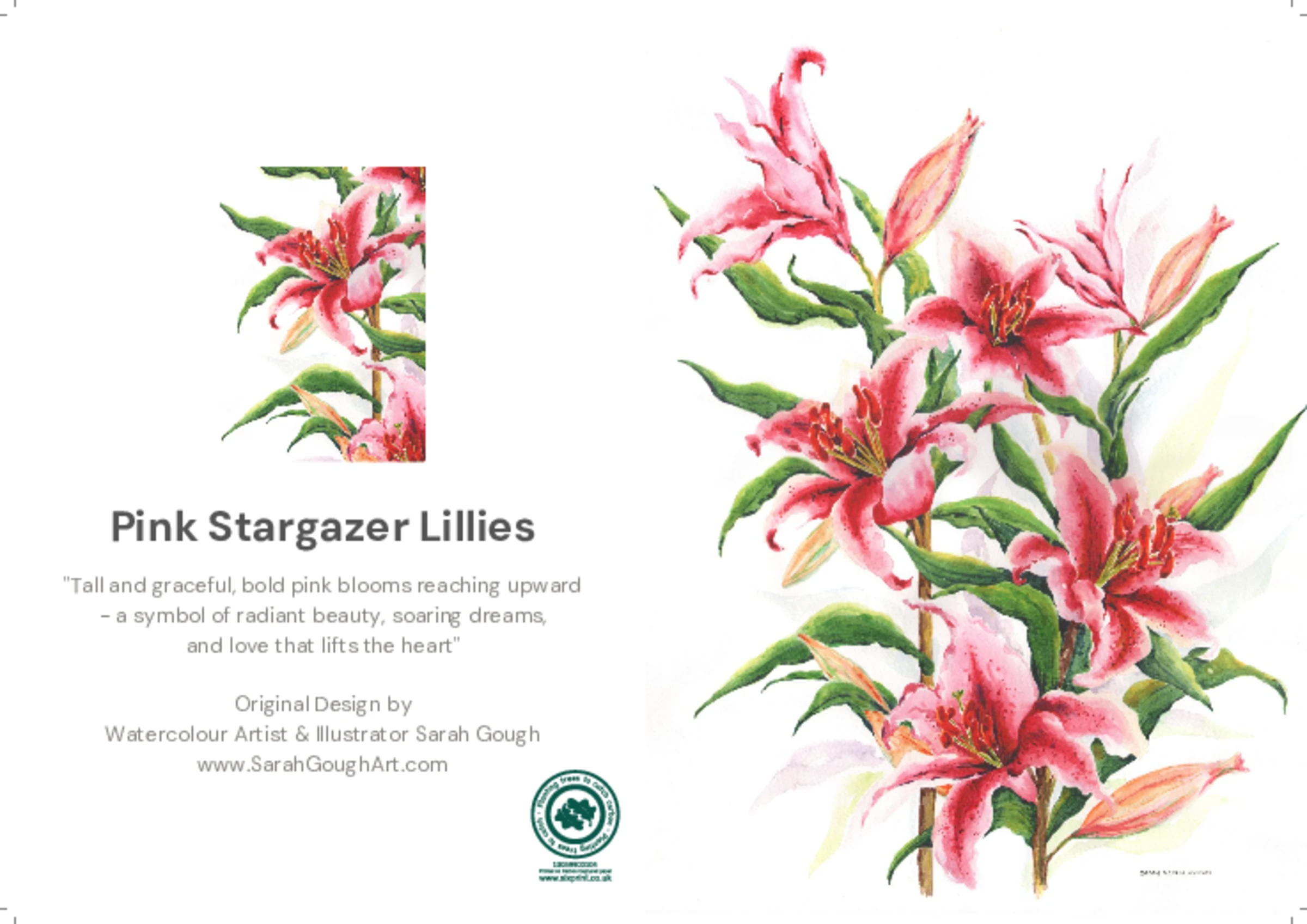 Pink Stargazer Lillies