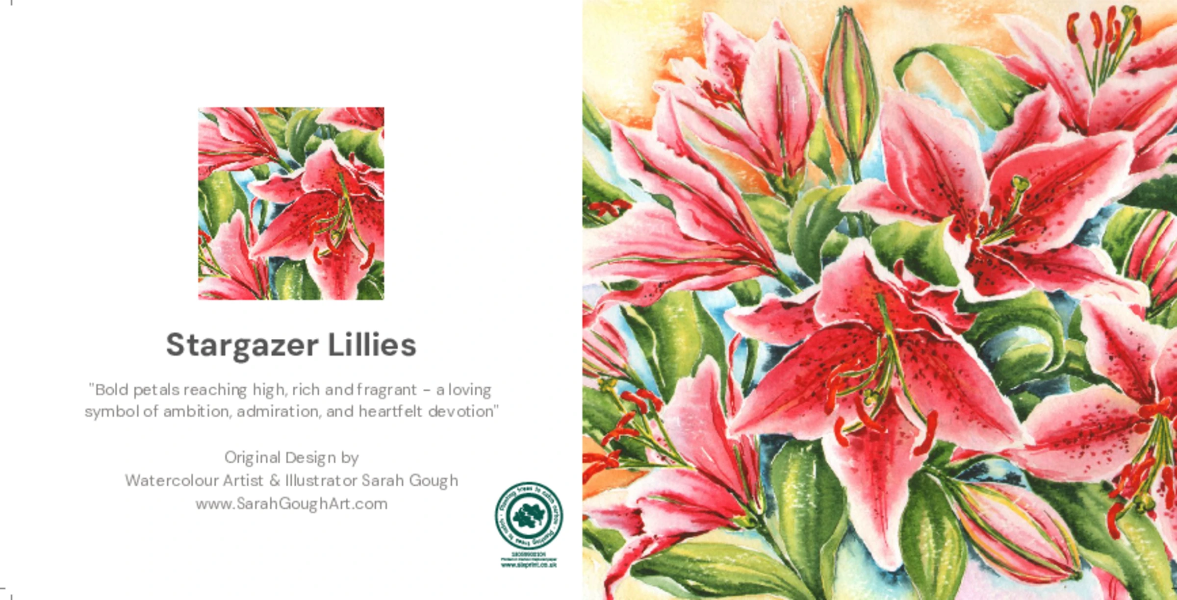 Stargazer Lillies